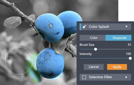 color splash photo editing free for mac